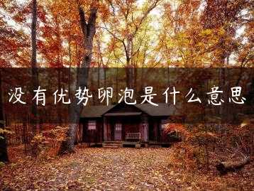 没有优势卵泡是什么意思缩略图