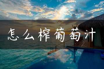 怎么榨葡萄汁缩略图