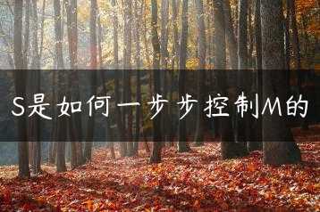S是如何一步步控制M的缩略图