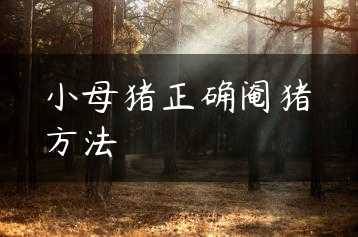 小母猪正确阉猪方法缩略图 小母猪正确阉猪方法缩略图