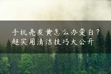 手机壳发黄怎么办变白？超实用清洁技巧大公开缩略图