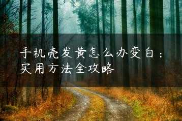 手机壳发黄怎么办变白：实用方法全攻略缩略图