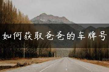 如何获取爸爸的车牌号缩略图