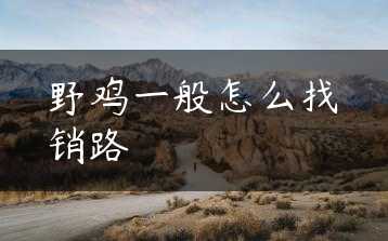 野鸡一般怎么找销路缩略图