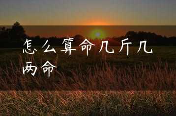 怎么算命几斤几两命缩略图