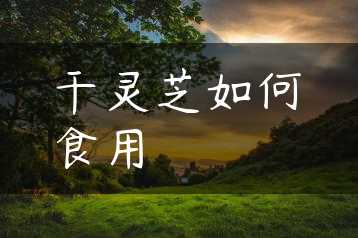 干灵芝如何食用缩略图