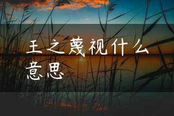 王之蔑视什么意思缩略图