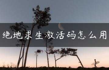 绝地求生激活码怎么用缩略图