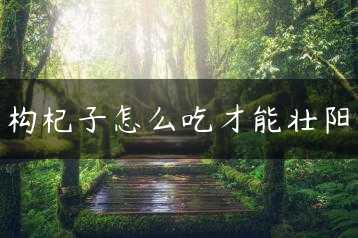 构杞子怎么吃才能壮阳缩略图