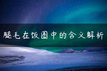 腿毛在饭圈中的含义解析缩略图