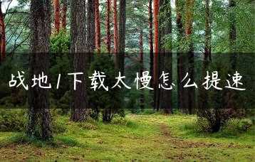 战地1下载太慢怎么提速缩略图