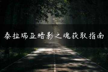泰拉瑞亚暗影之魂获取指南缩略图