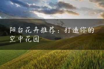 阳台花卉推荐：打造你的空中花园缩略图