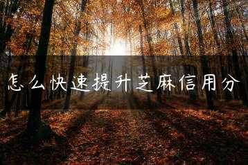 怎么快速提升芝麻信用分缩略图