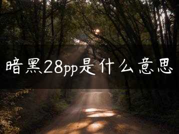 暗黑28pp是什么意思缩略图