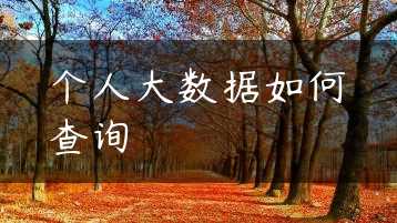 个人大数据如何查询缩略图