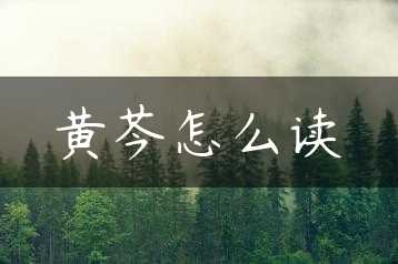 黄芩怎么读缩略图