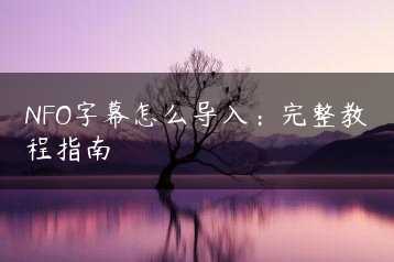 NFO字幕怎么导入：完整教程指南缩略图