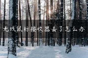 无线鼠标接收器丢了怎么办缩略图