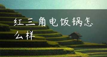 红三角电饭锅怎么样缩略图
