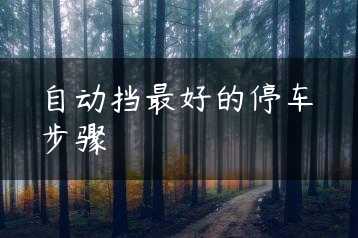 自动挡最好的停车步骤缩略图