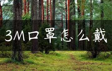 3M口罩怎么戴缩略图
