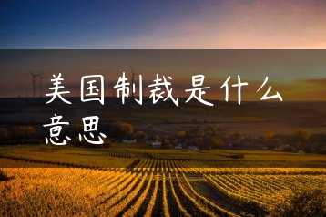 美国制裁是什么意思缩略图