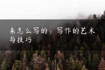 来怎么写的：写作的艺术与技巧缩略图