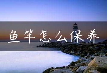 鱼竿怎么保养缩略图