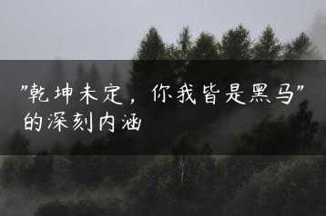 “乾坤未定，你我皆是黑马”的深刻内涵缩略图