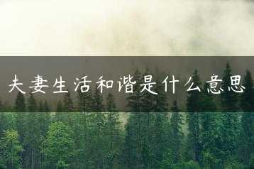 夫妻生活和谐是什么意思缩略图