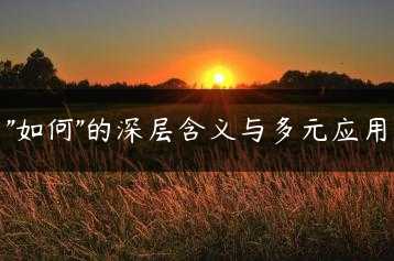 “如何”的深层含义与多元应用缩略图
