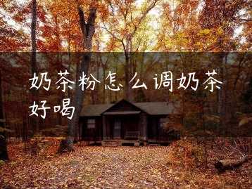 奶茶粉怎么调奶茶好喝缩略图