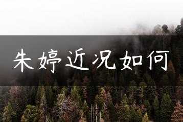 朱婷近况如何缩略图