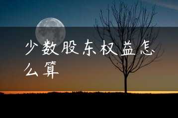 少数股东权益怎么算缩略图 少数股东权益怎么算缩略图