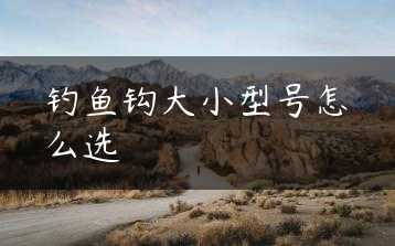钓鱼钩大小型号怎么选缩略图