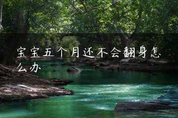 宝宝五个月还不会翻身怎么办缩略图 宝宝五个月还不会翻身怎么办缩略图