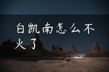 白凯南怎么不火了缩略图