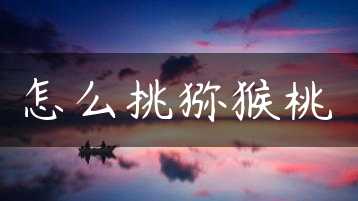 怎么挑猕猴桃缩略图