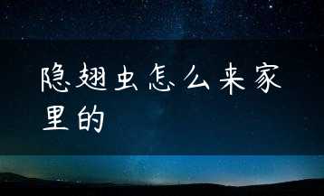 隐翅虫怎么来家里的缩略图