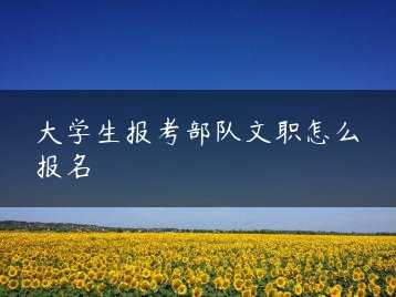大学生报考部队文职怎么报名缩略图