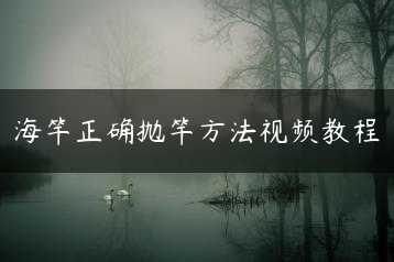 海竿正确抛竿方法视频教程缩略图