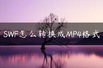 SWF怎么转换成MP4格式缩略图