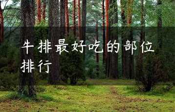牛排最好吃的部位排行缩略图
