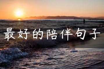 最好的陪伴句子缩略图