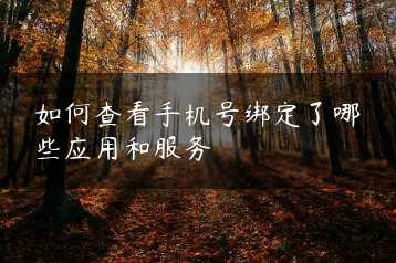 如何查看手机号绑定了哪些应用和服务缩略图