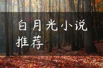 白月光小说推荐缩略图