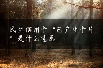 民生信用卡“已产生卡片”是什么意思缩略图