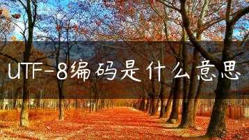 UTF-8编码是什么意思缩略图