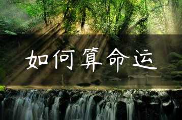 如何算命运缩略图